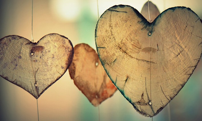 Tấm lòng thầm lặng (Bài đọc hiểu tiếng Việt lớp 4 - đề số 29)